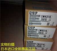QY81P
